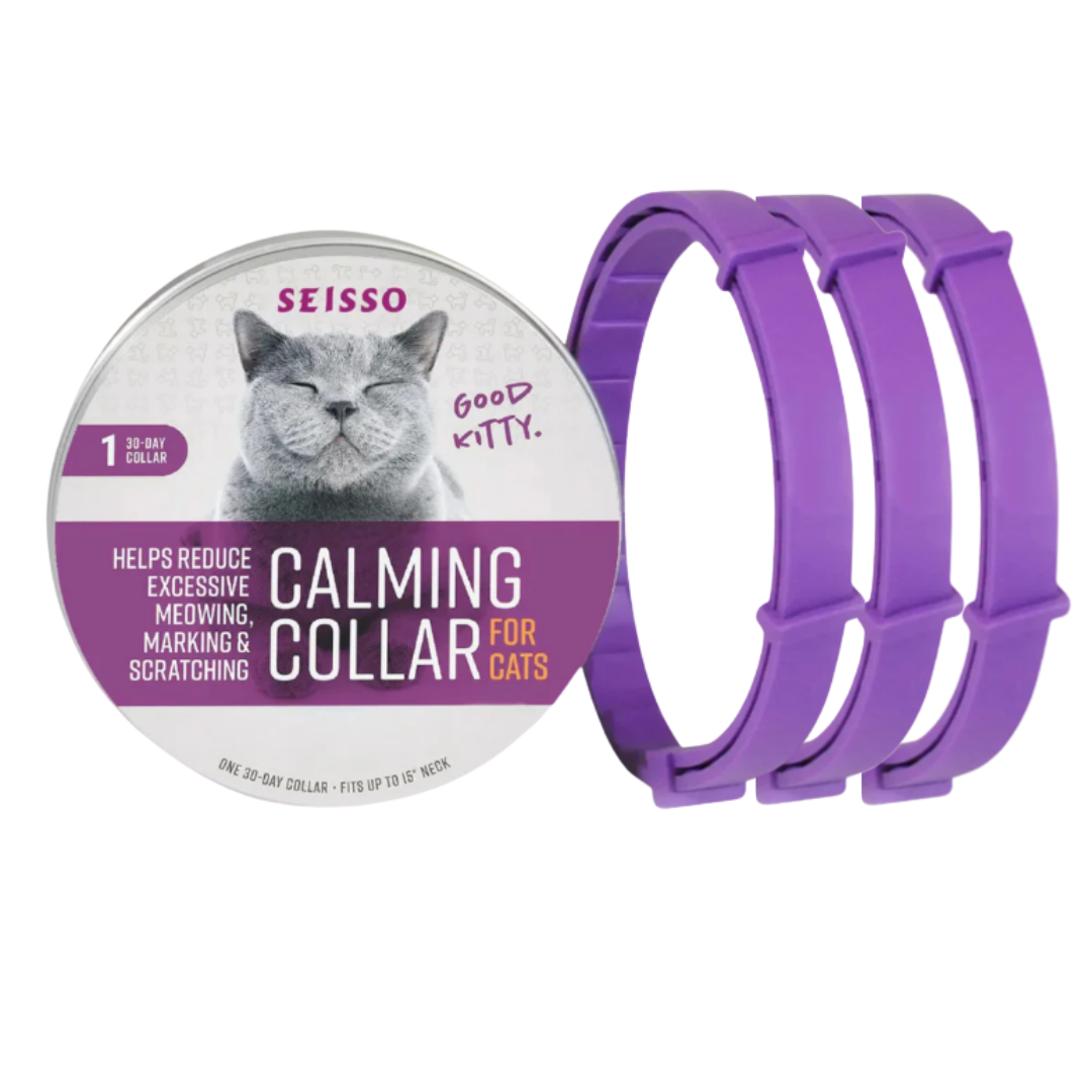 Calm Furry Kat