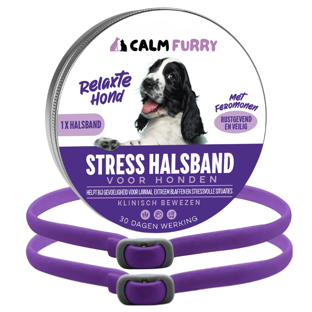 Calm Furry Hond