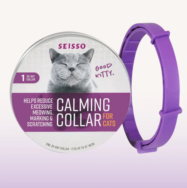 Calm Furry Kat