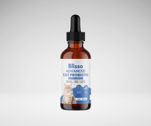 Blisso Cat Grooming