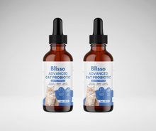 Blisso Cat Grooming