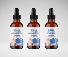 Blisso Cat Grooming